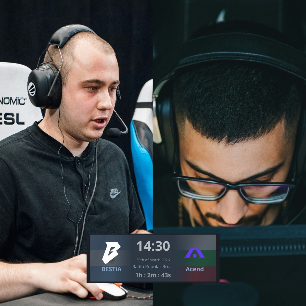 infocsarg tweet media