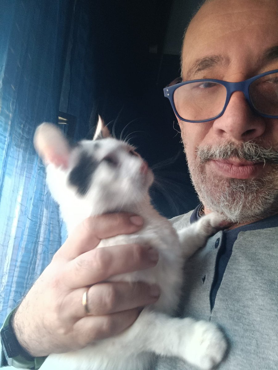 Benedetto Ben Croce tweet media