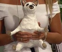 ⚔️Skyripa ⚔️ tweet media