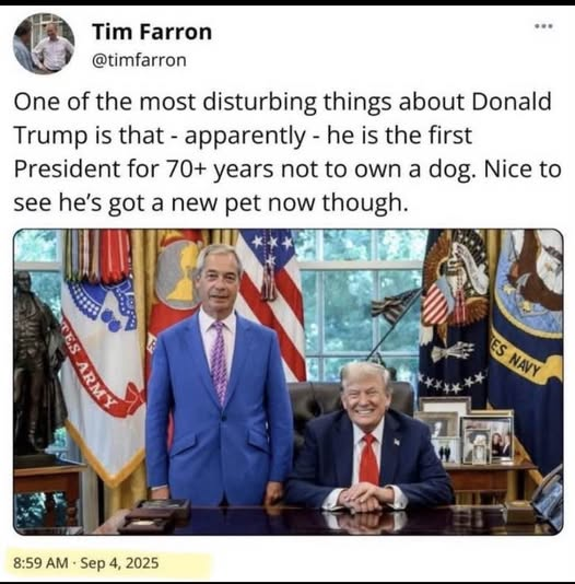 dave lawrence 🐟🐟🐠 tweet media