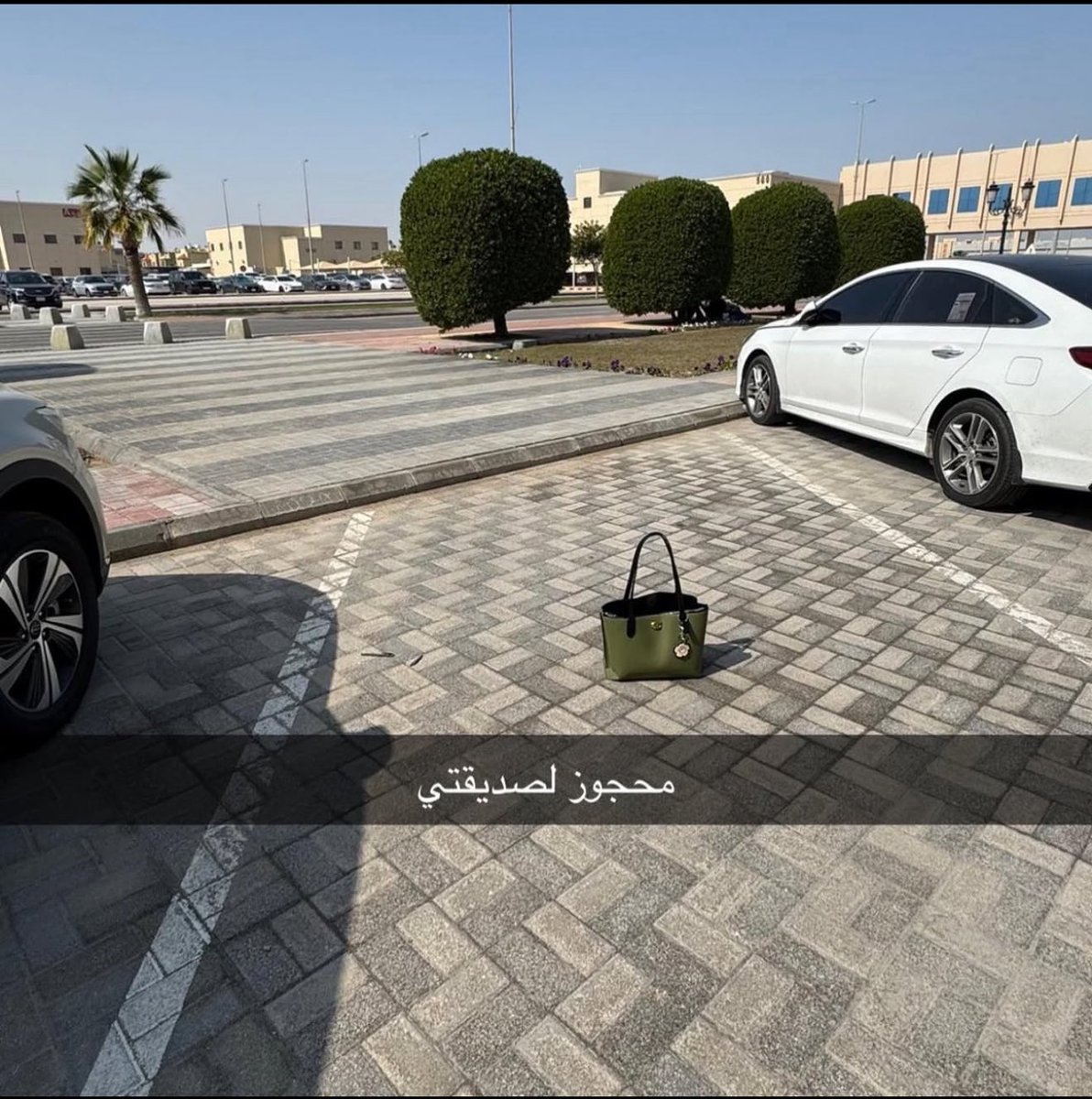 بسّـره. tweet media