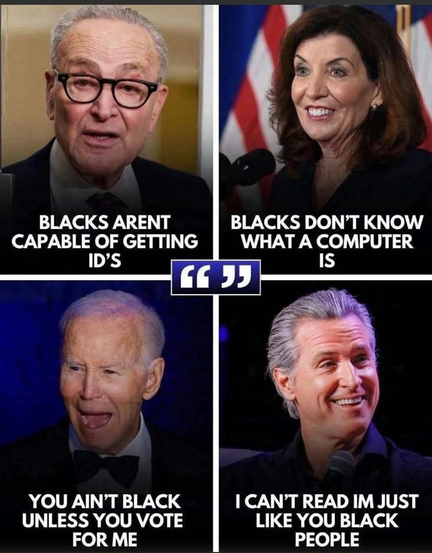 Chapman Customs tweet media