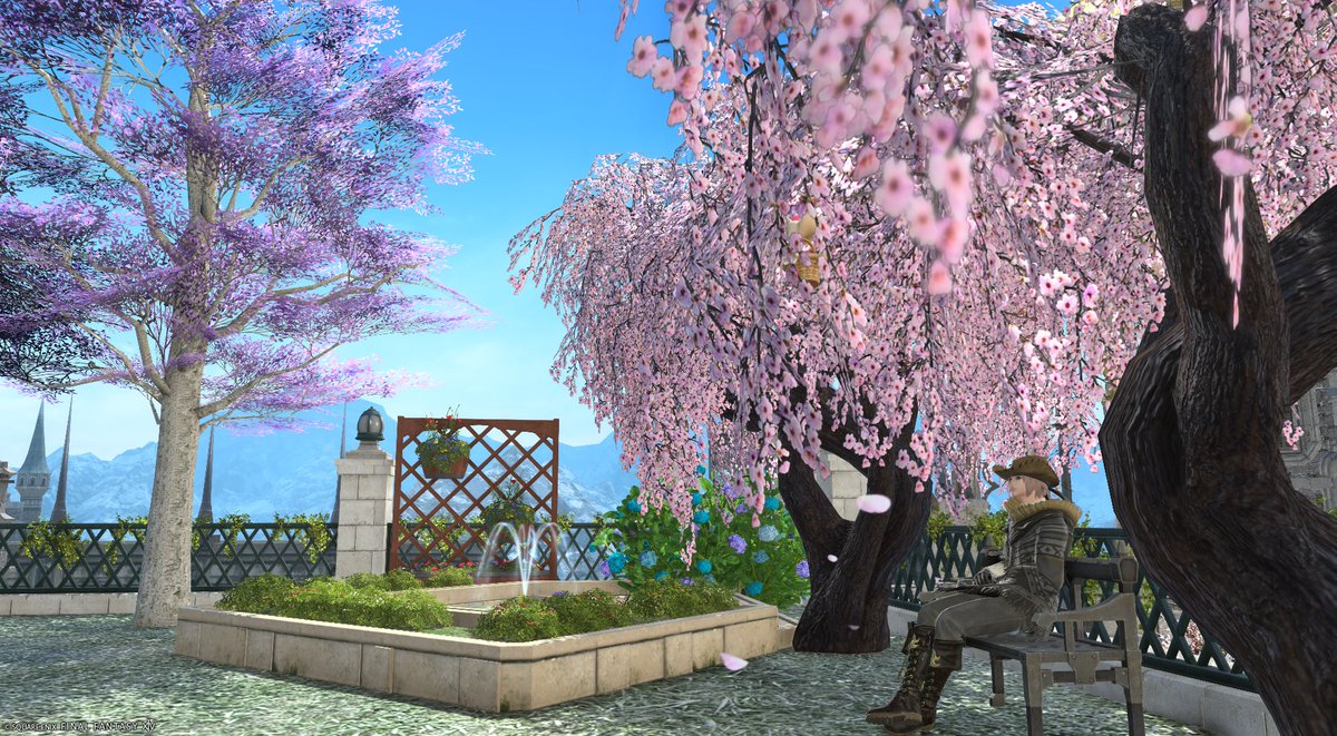 夕莉（calme） tweet media
