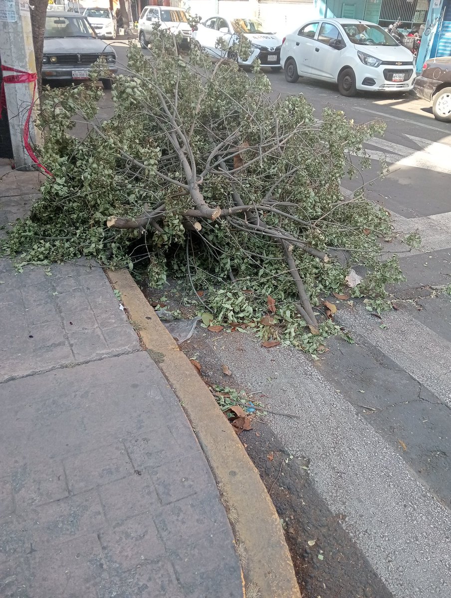 Ruben Rebollo tweet media