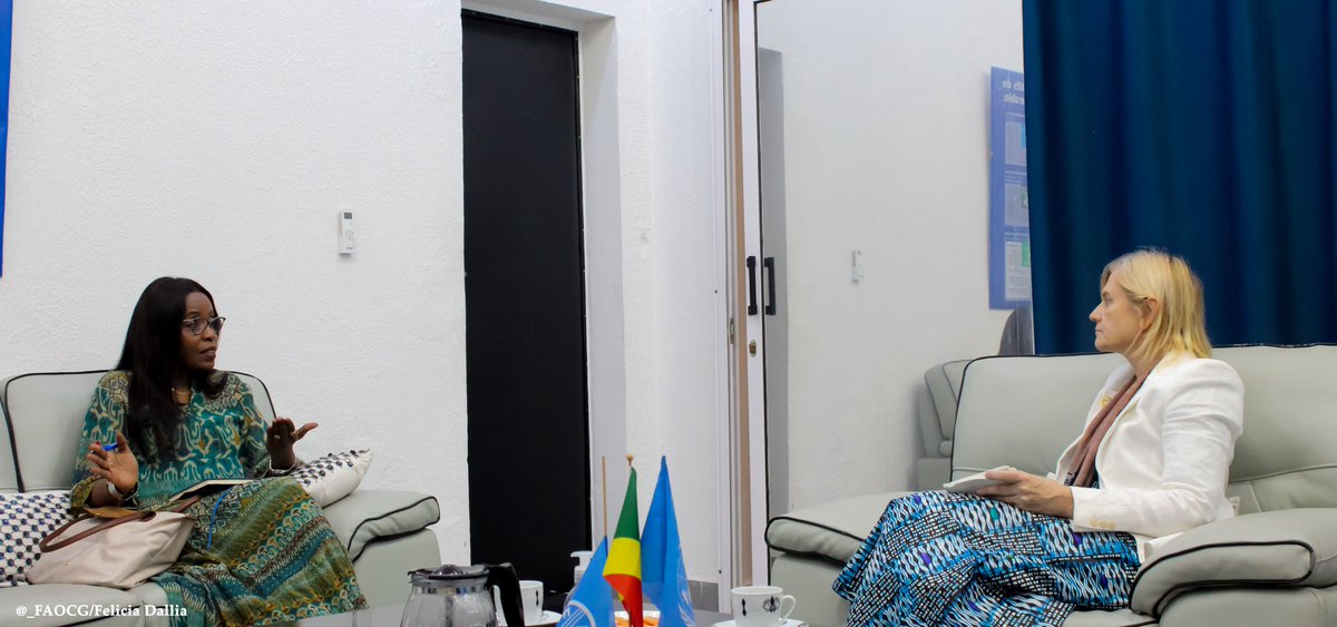 FAOCongo's tweet photo. 🌍 Renforcement de la collaboration FAO-HCR au Congo
À Brazzaville du 25 au 27 mars 2026,la Représentante du HCR pour le MCO Cameroun a été reçue par la FAO pour discuter de l’inclusion des réfugiés via l’agriculture et l’entrepreneuriat,et du développement de projets inclusifs. https://t.co/Ti30BXXDJJ