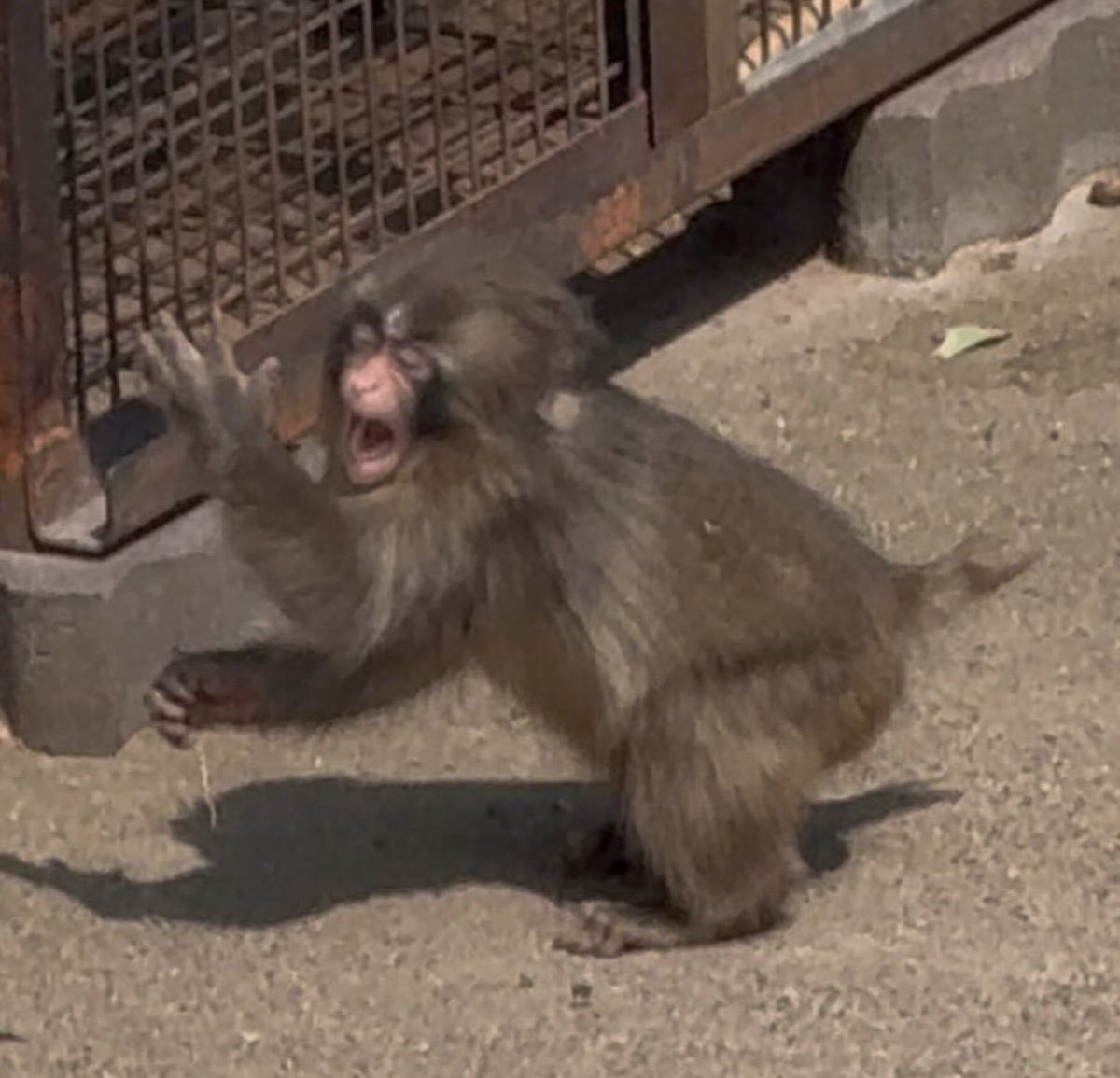 soff 🍒 tweet media