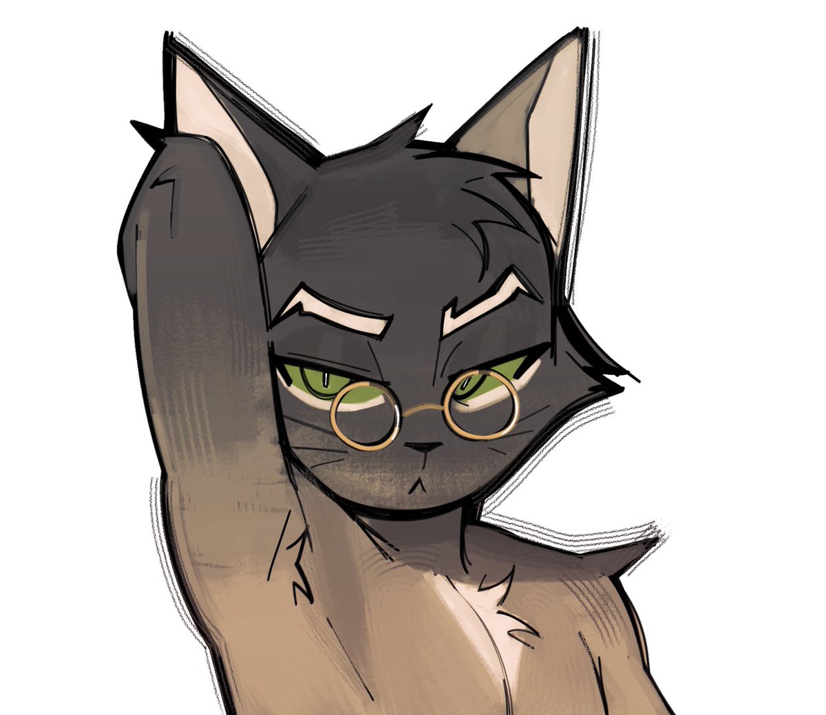 slepecum tweet media