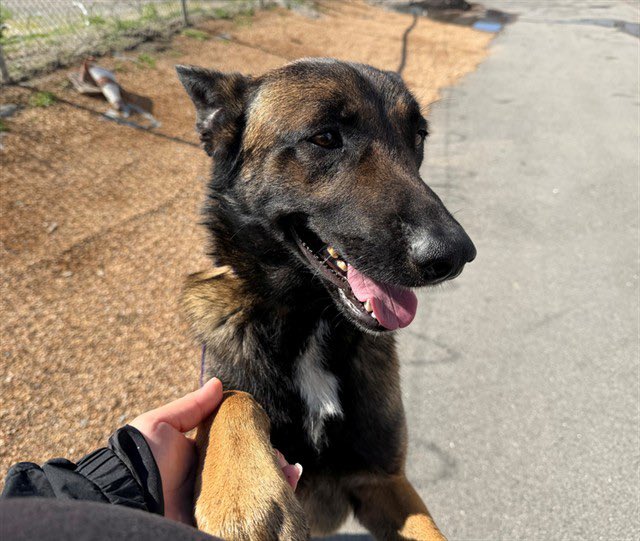 Labigator Mom tweet media