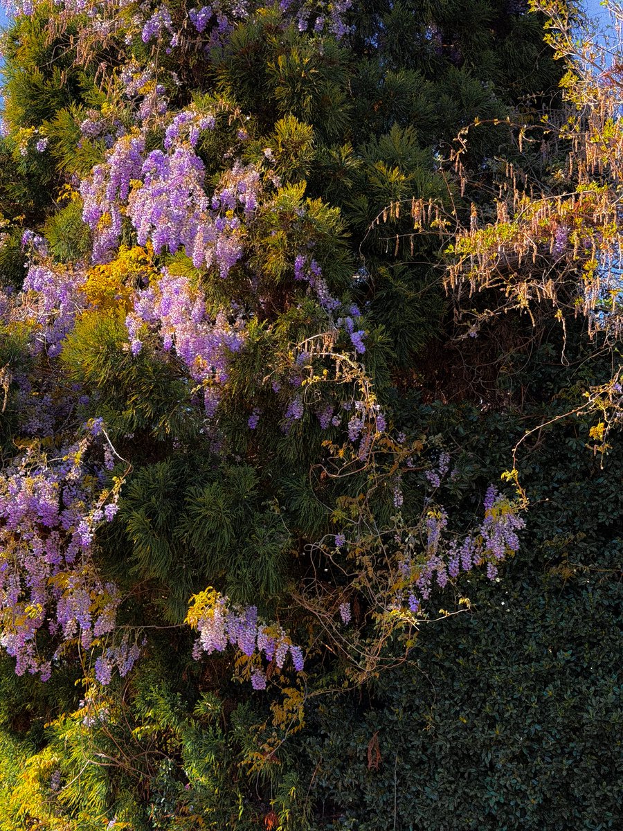 yammy🌧️ tweet media