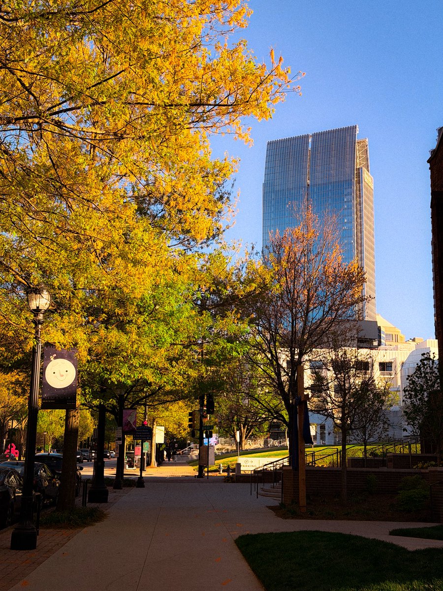 yammy🌧️ tweet media