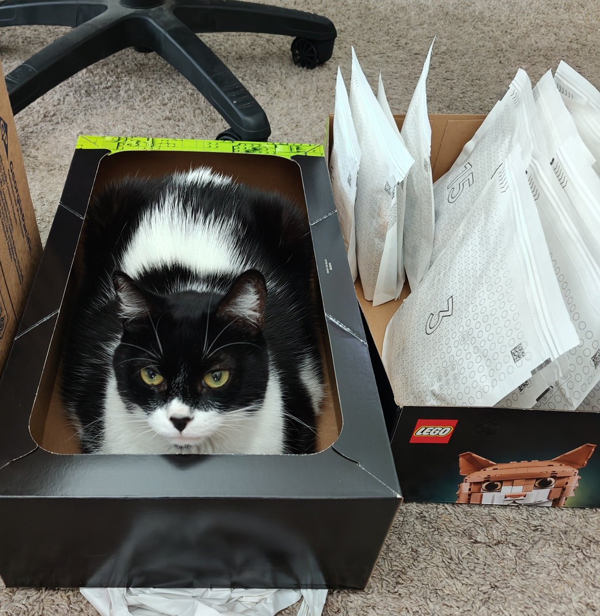Hi <a href="/LEGO_Group/">LEGO</a>, I bought the Orange Cat set but I received the Tuxedo Cat already built??? 😊❤️