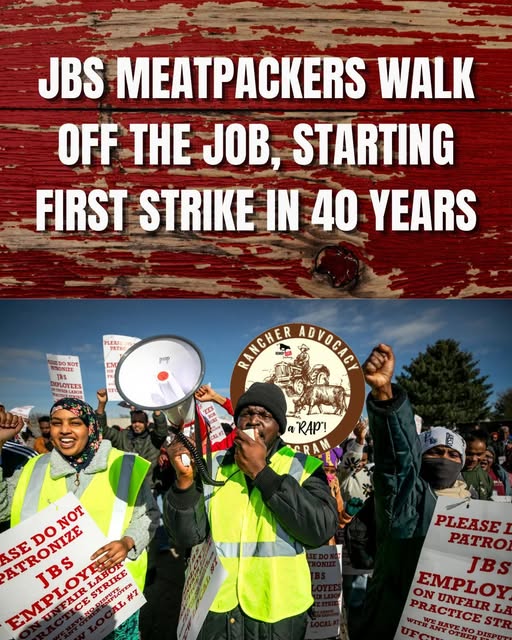 Rancher Advocacy Program tweet media