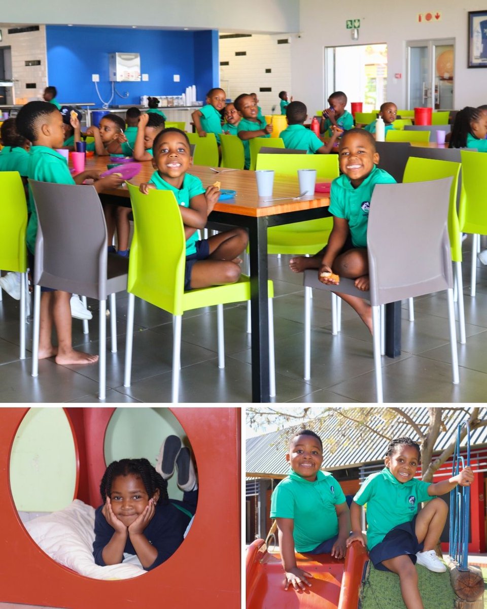 Mitchell House tweet media