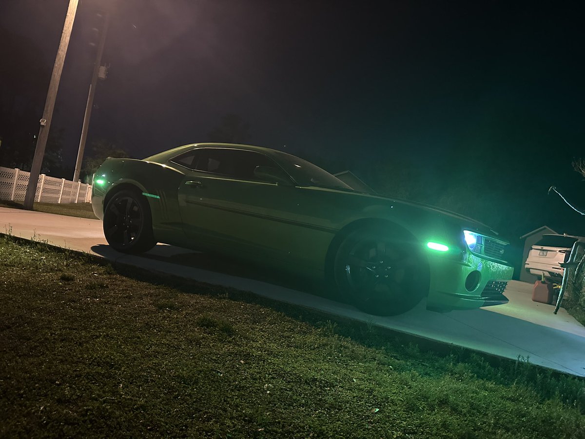 Pengoku🐉🏀 tweet media