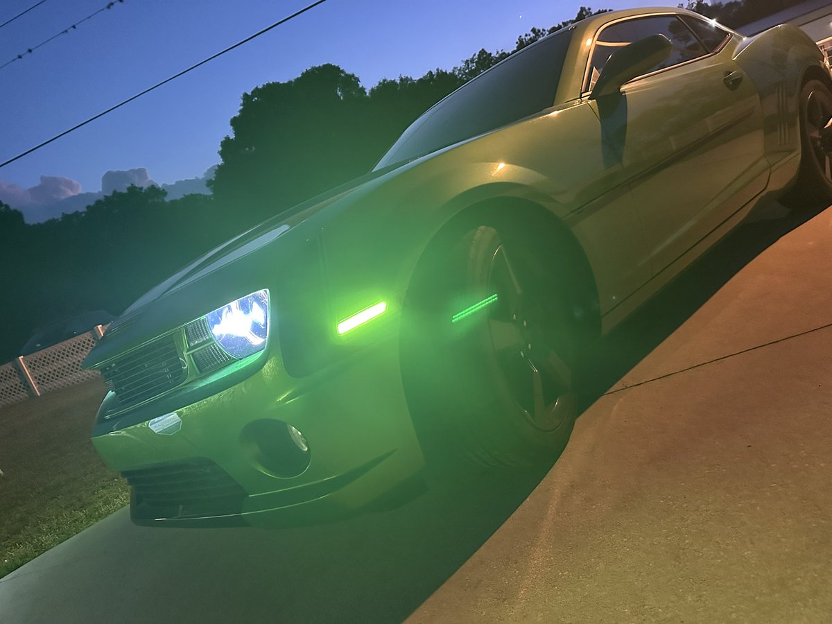 Pengoku🐉🏀 tweet media