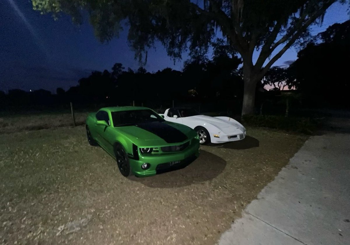 Pengoku🐉🏀 tweet media