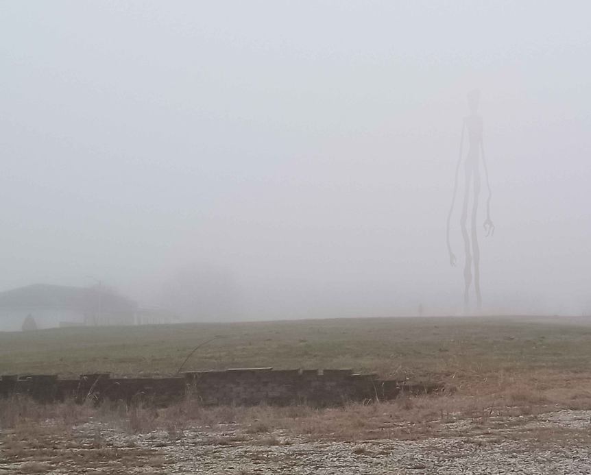 CariSmant tweet media