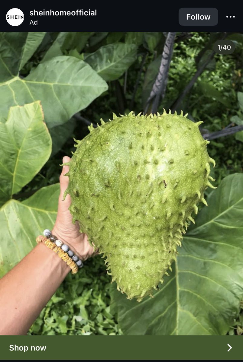 🇯🇲 That-Tiny-Thick-Chick tweet media