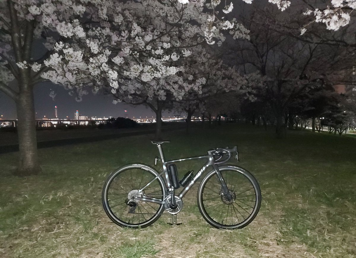 ぴ🦈か🥜い🐻‍❄️ち tweet media