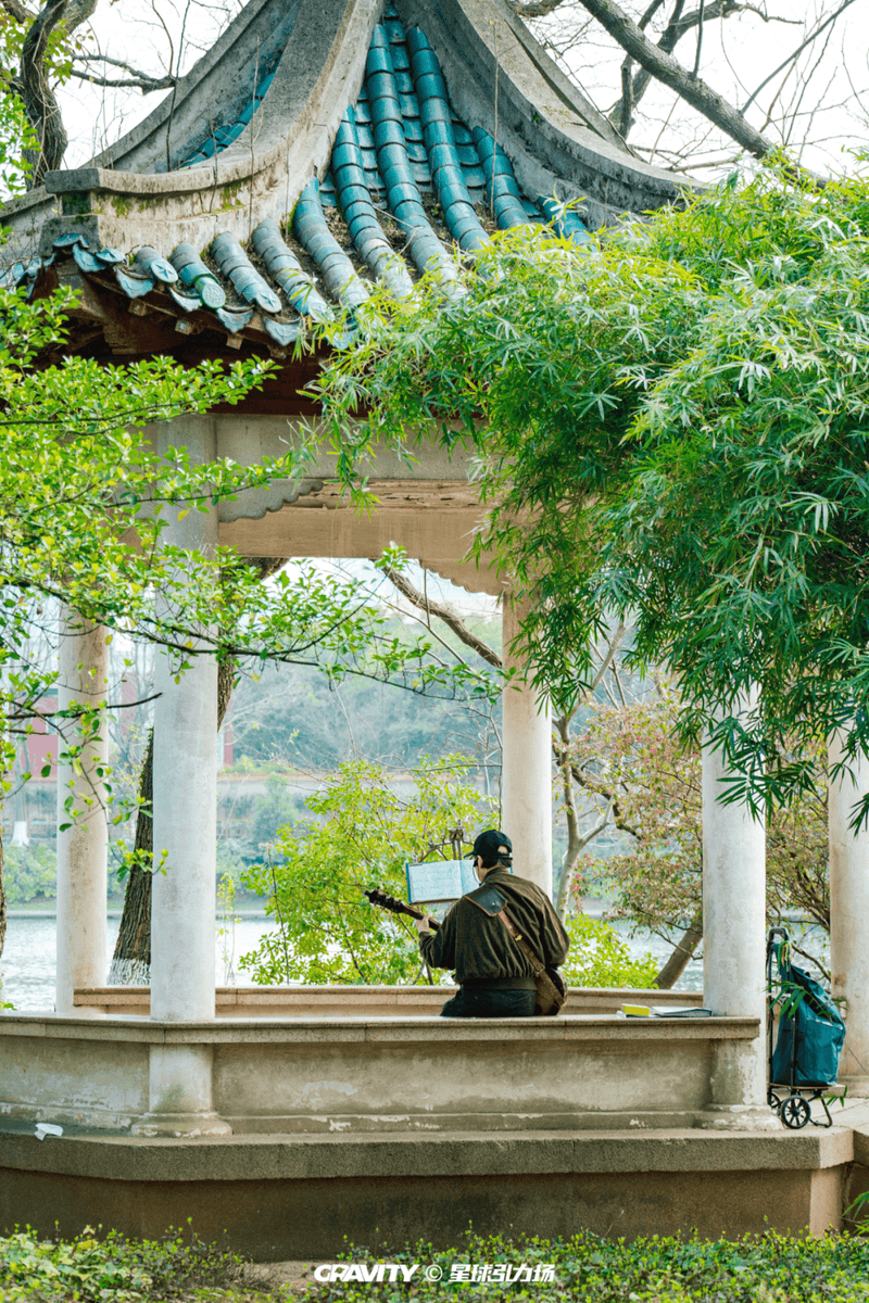 Allison Stuart tweet media