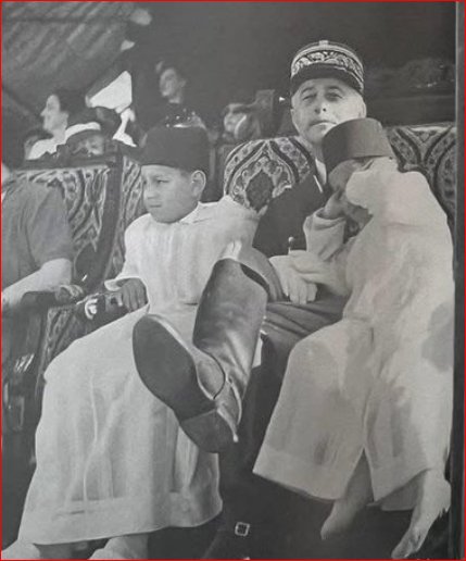 Ammar zd tweet media