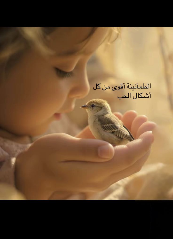 سـمـاراღ tweet media