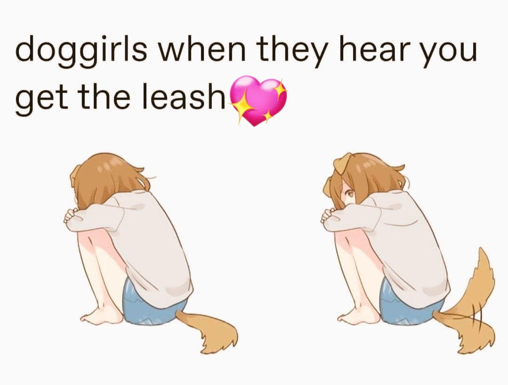 LucyFox🏳️‍⚧️ tweet media