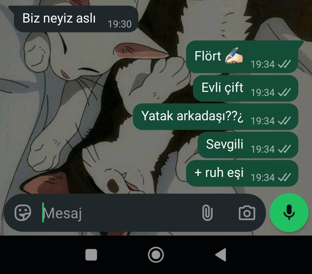 şeftali 🍁 tweet media