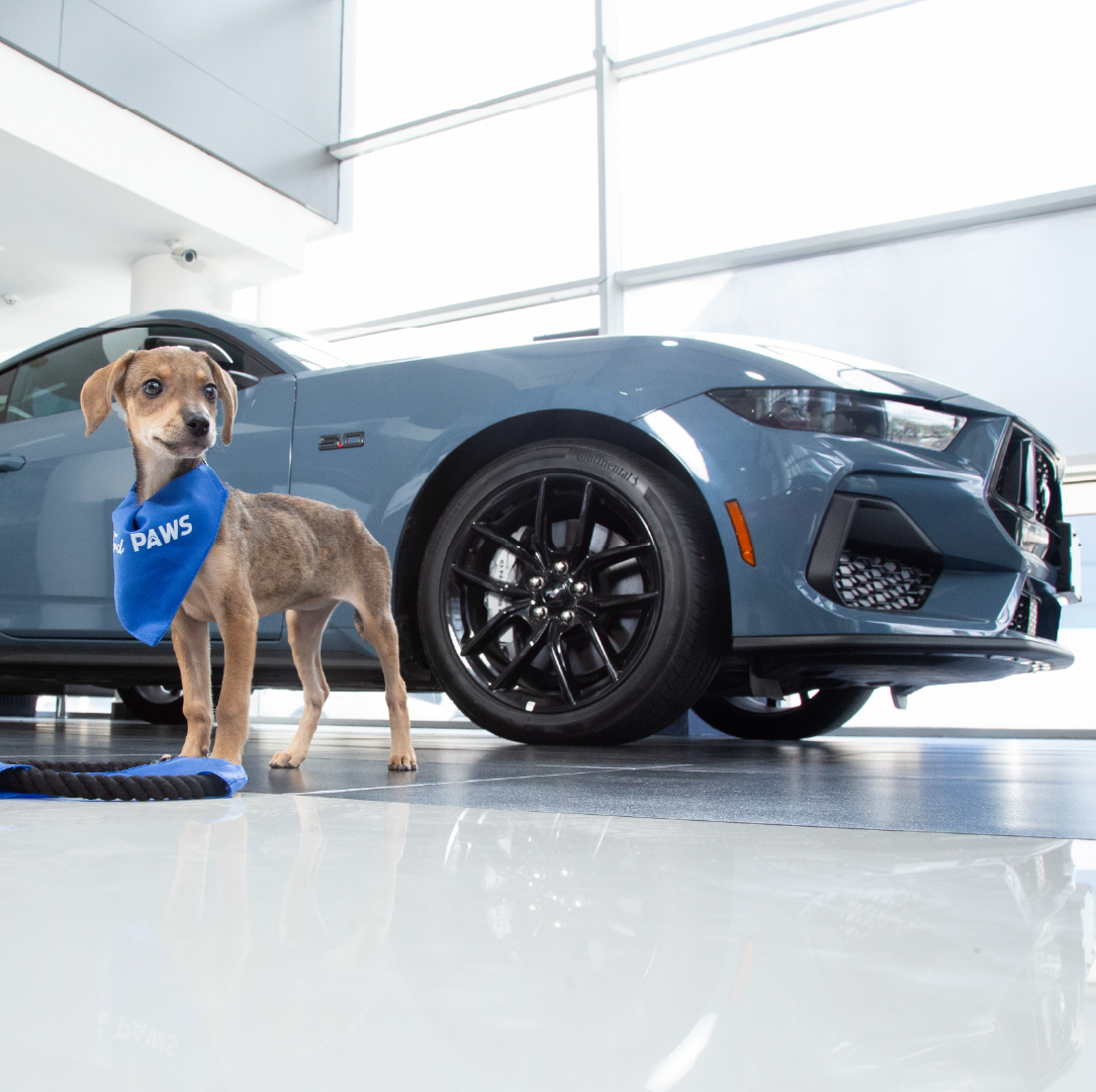 Ford Centroamérica y Caribe tweet media