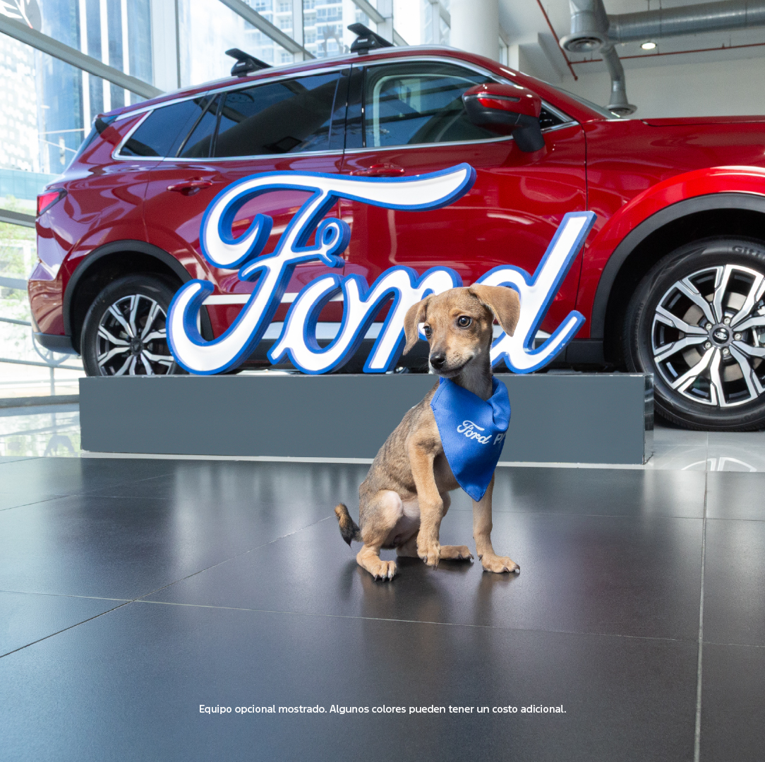 Ford Centroamérica y Caribe tweet media