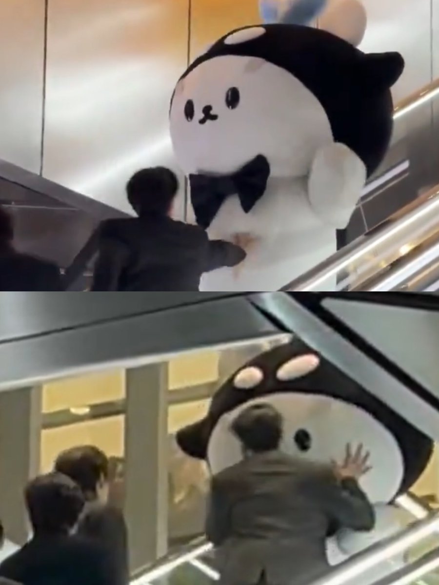 elmi🍒✨ tweet media