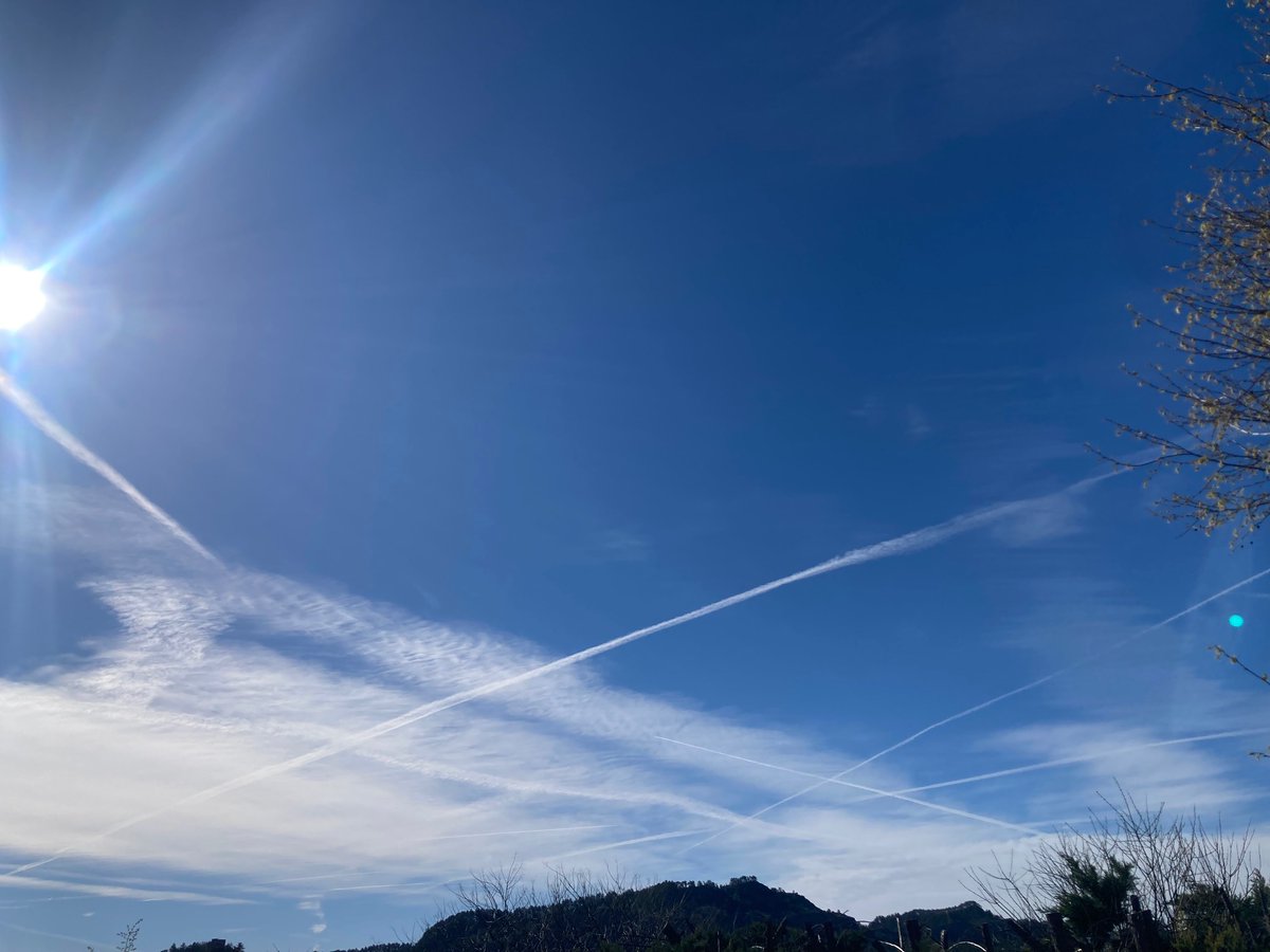 AnatoleChabert's tweet photo. This morning in Haute-Provence/Ce matin en Haute-Provence #chemtrails #skybastards #thismuststop @nogps1 @SoleilLibreFR @Demo2020cracy @naomirwolf https://t.co/sd5fZhFNHs