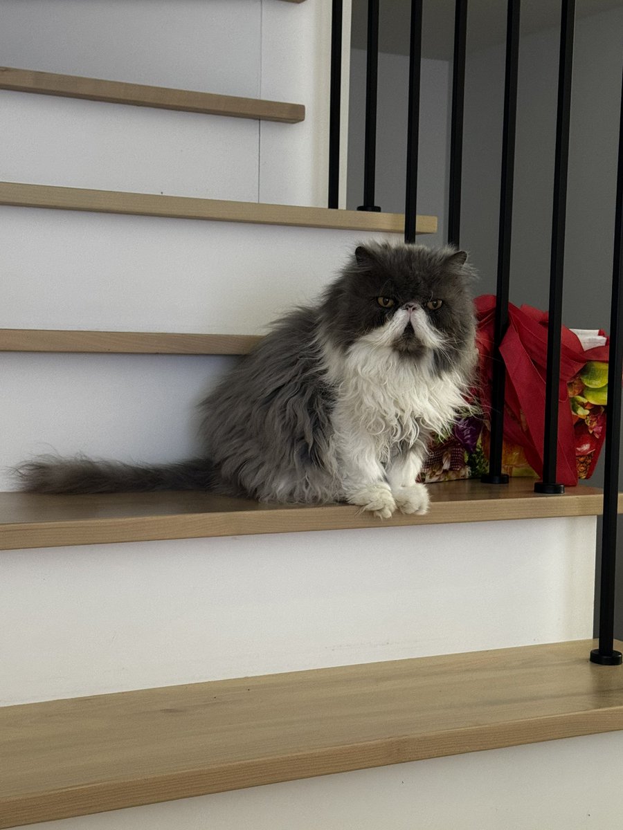 Somos Benito y Lupita tweet media