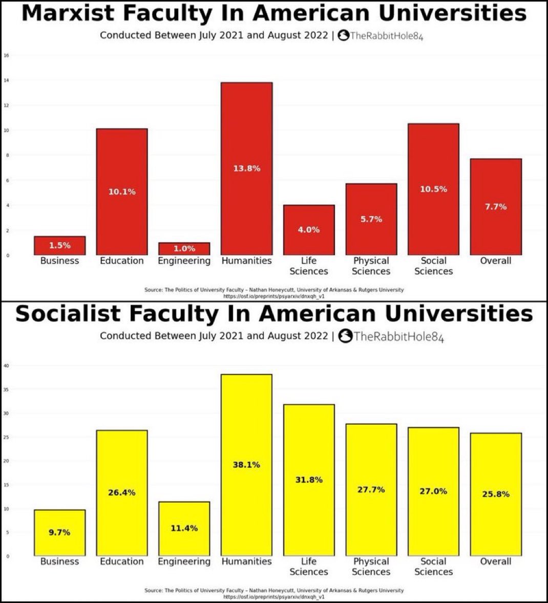 The Rabbit Hole tweet media