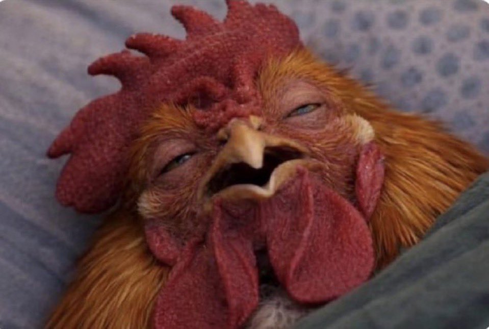 Emmanuel 💫 tweet media