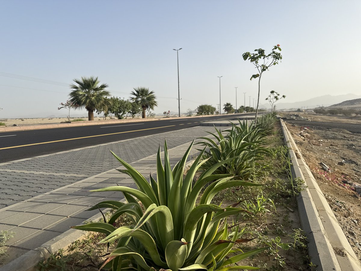 بـلـديـة غـمـيـقـة tweet media