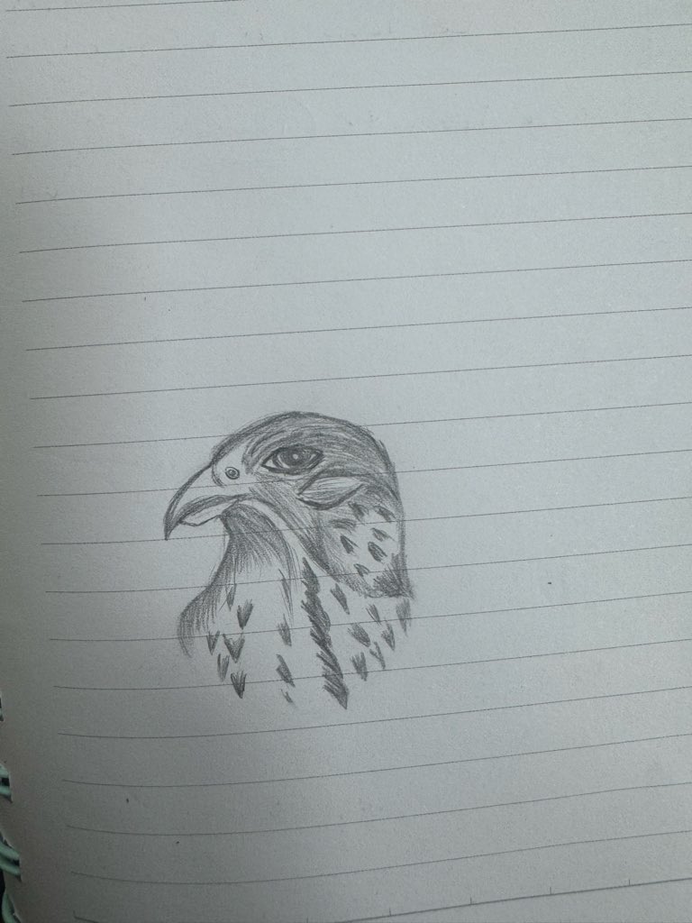 𝚂𝙷𝙴𝙸𝙺𝙰𝙷 tweet media