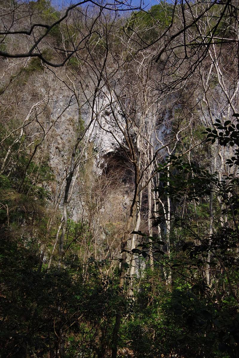 ヨッキれん/平沼義之 tweet media