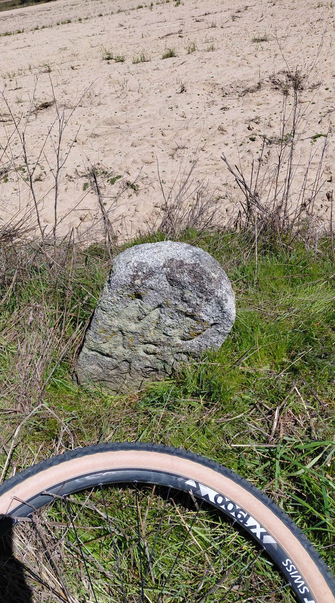 Envés arquitectos tweet media