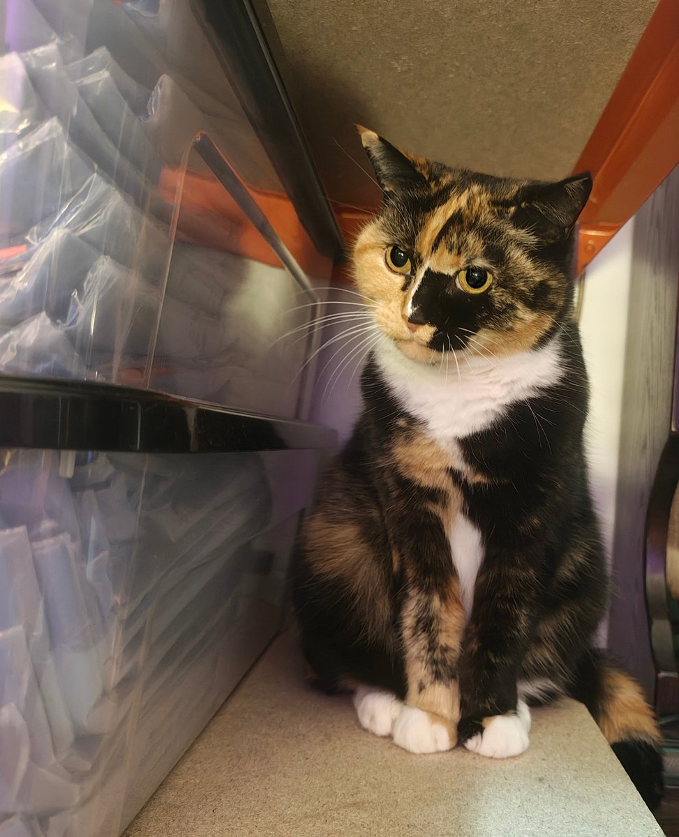 kid-core tweet media