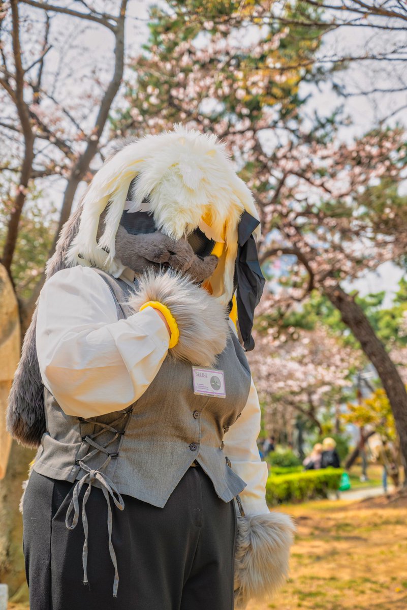 셀리니 🔜 3부코, 퍼클 tweet media