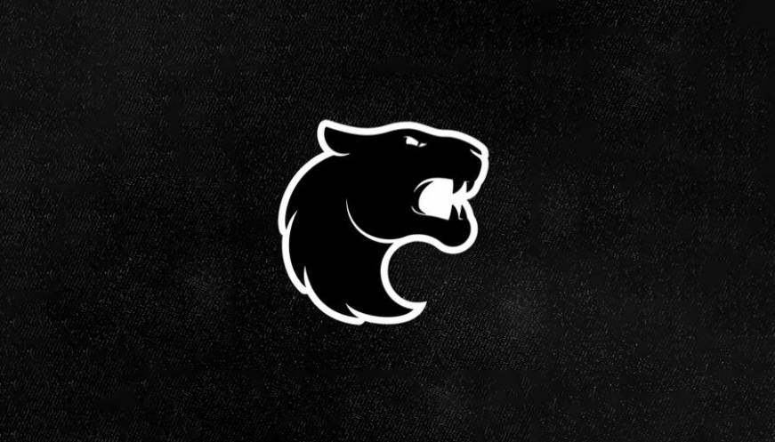 Sheep Esports Brasil tweet media