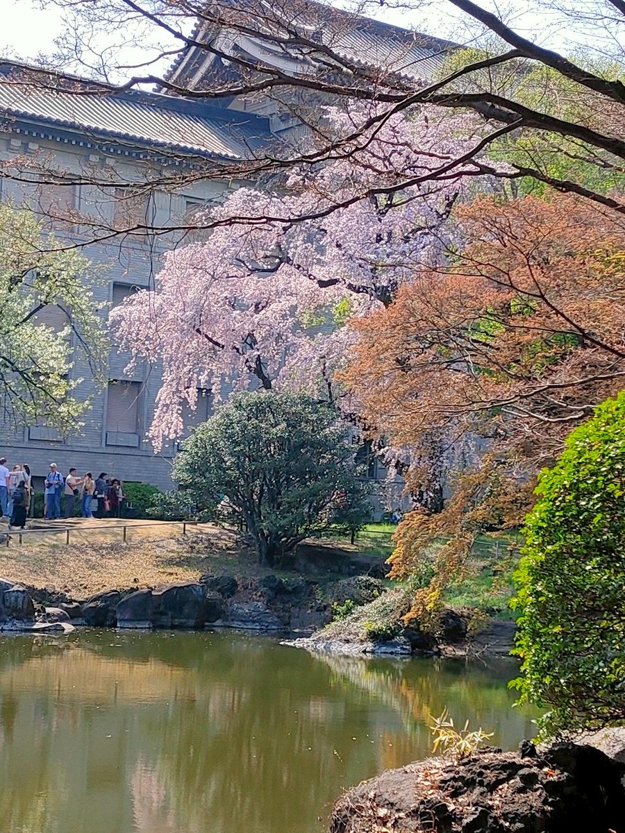 千田洋幸 tweet media