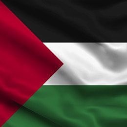 China live tweet media