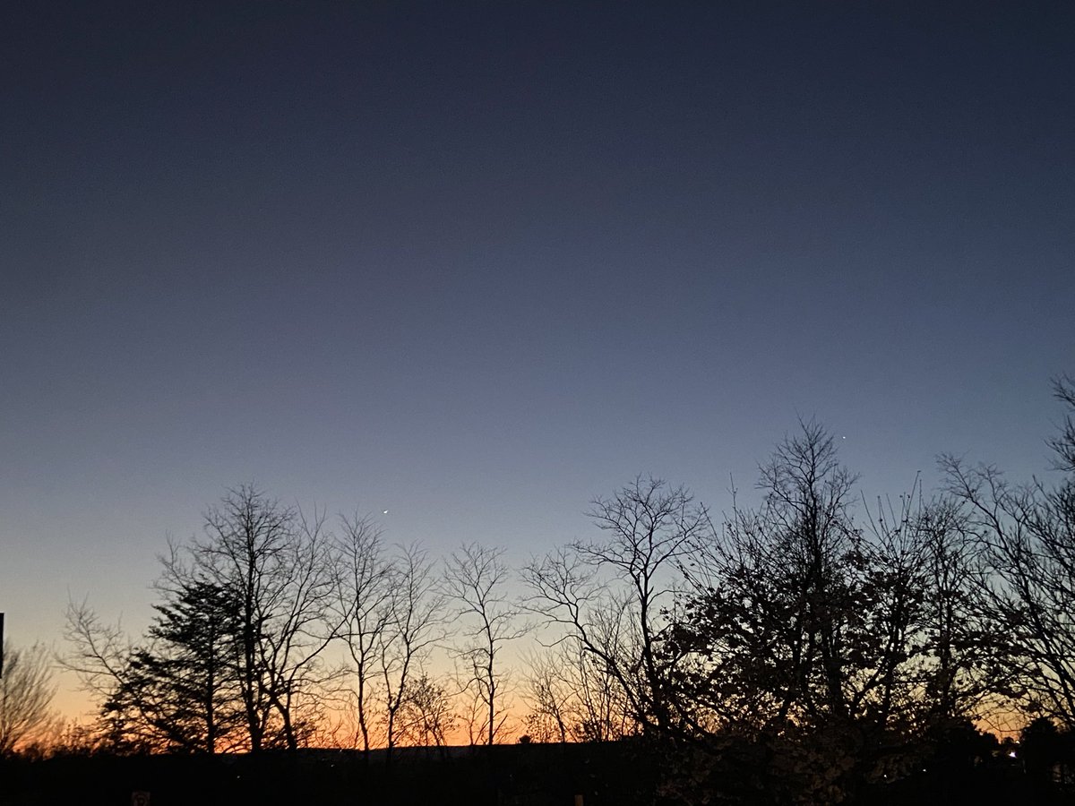 Indigo Mike tweet media