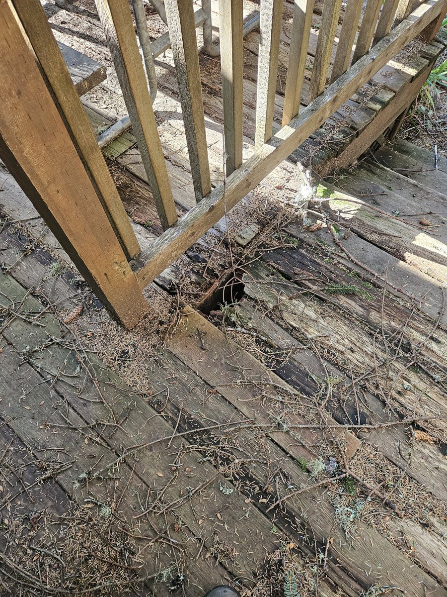 🏴🏴☠️🅰️narchyDreams™️🏴☠️🏴 tweet media