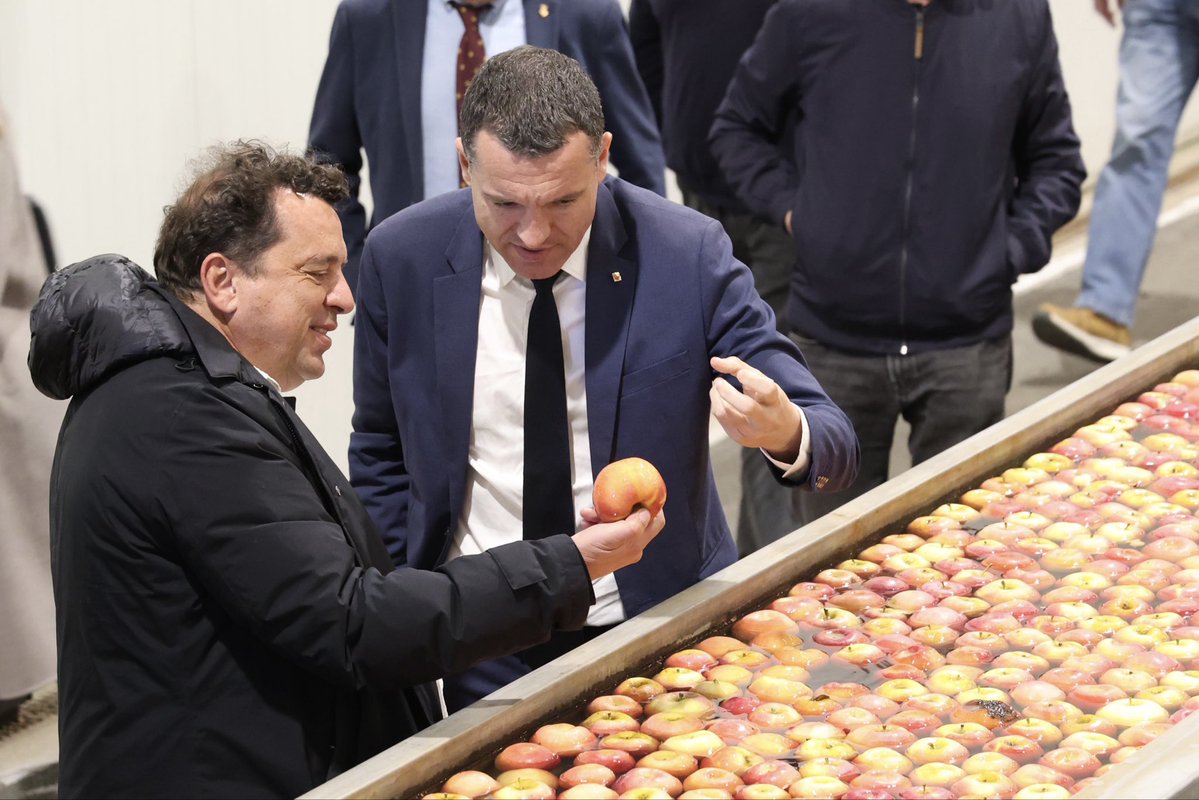 Òscar Ordeig tweet media