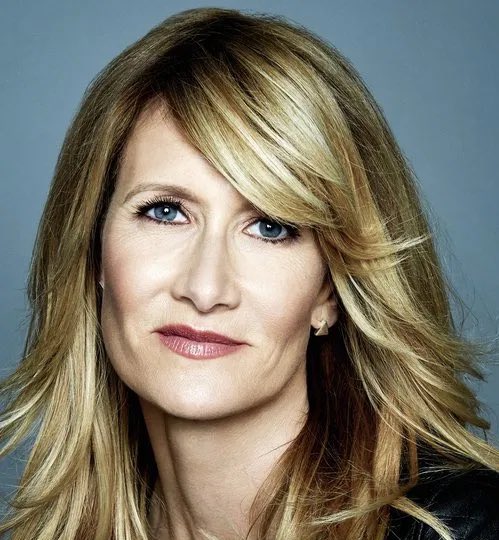 Xpert_things's tweet image. A limited series about the investigation of #Jeffrey Epstein is in the works with #Laura Dern set to star.