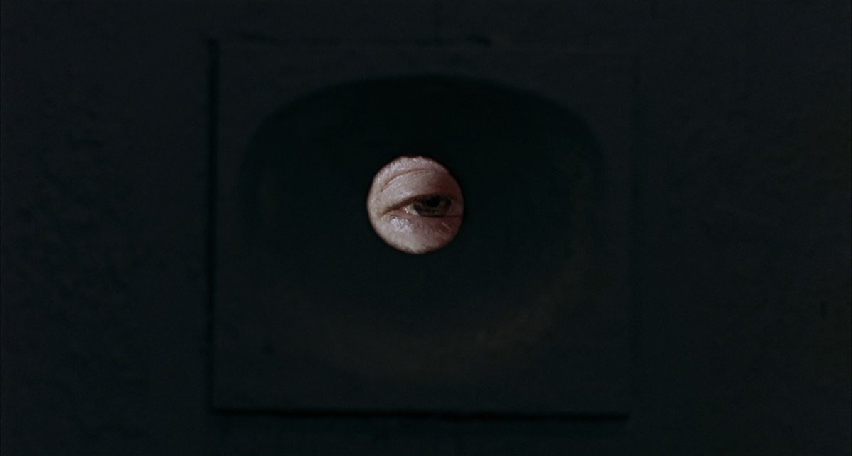 Oh Edo Edo tweet media