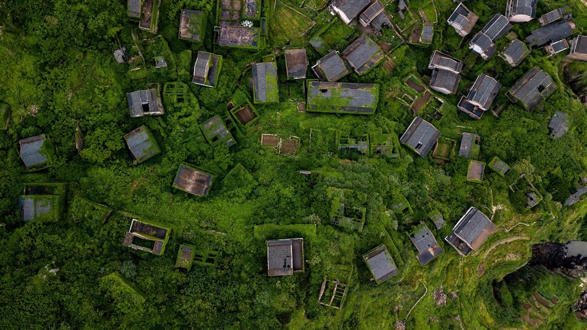 Or Leigh tweet media